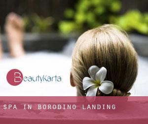 Spa in Borodino Landing