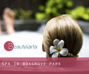 Spa in Boxgrove Park