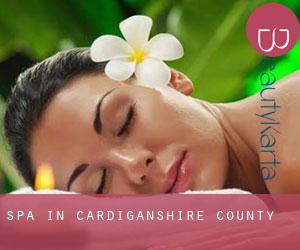 Spa in Cardiganshire County