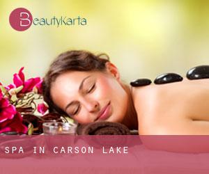Spa in Carson Lake