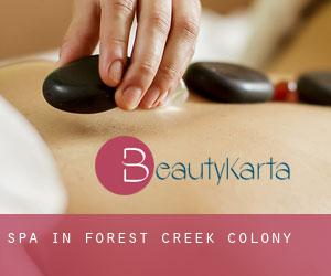 Spa in Forest Creek Colony