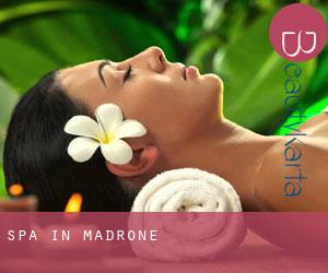Spa in Madrone