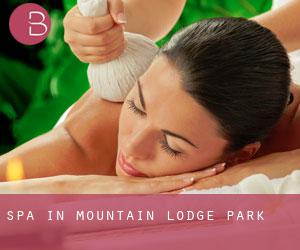 Spa in Mountain Lodge Park