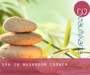 Spa in Mushroom Corner