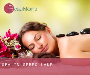 Spa in Sebec Lake