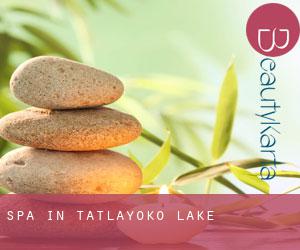 Spa in Tatlayoko Lake