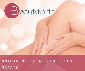 Ontharing in Allennes-les-Marais