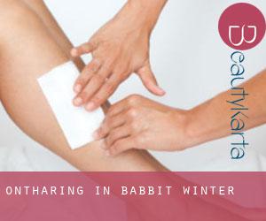 Ontharing in Babbit Winter