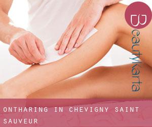 Ontharing in Chevigny-Saint-Sauveur