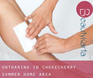 Ontharing in Chokecherry Summer Home Area