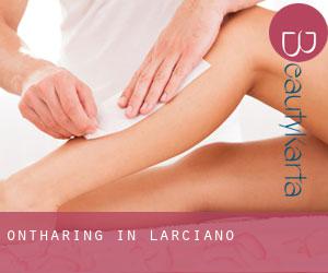 Ontharing in Larciano