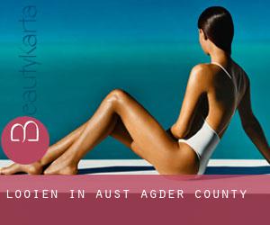 Looien in Aust-Agder county