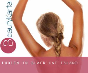 Looien in Black Cat Island