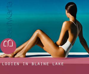 Looien in Blaine Lake