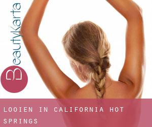 Looien in California Hot Springs