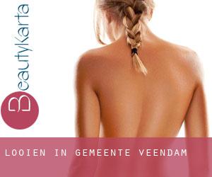 Looien in Gemeente Veendam Looien in Gemeente Veendam