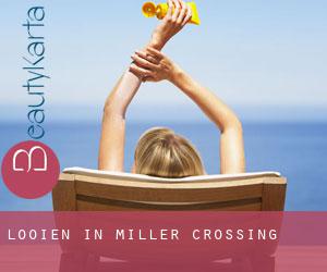 Looien in Miller Crossing