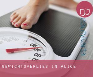 Gewichtsverlies in Alice