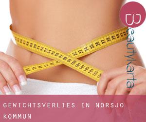 Gewichtsverlies in Norsjö Kommun