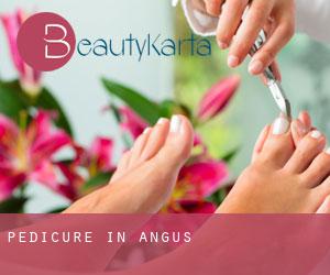Pedicure in Angus