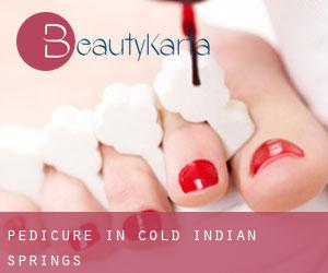 Pedicure in Cold Indian Springs