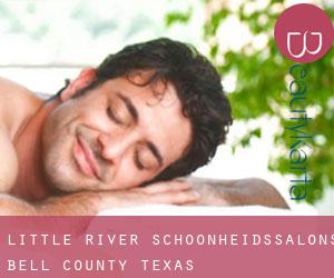 Little River schoonheidssalons (Bell County, Texas)